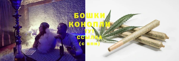 ALPHA PVP Осинники