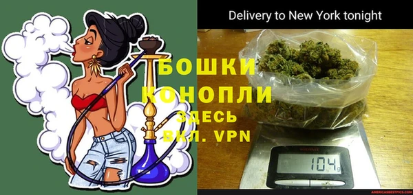 ALPHA PVP Осинники
